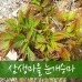 썸네일(스크롤)