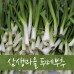 썸네일(스크롤)