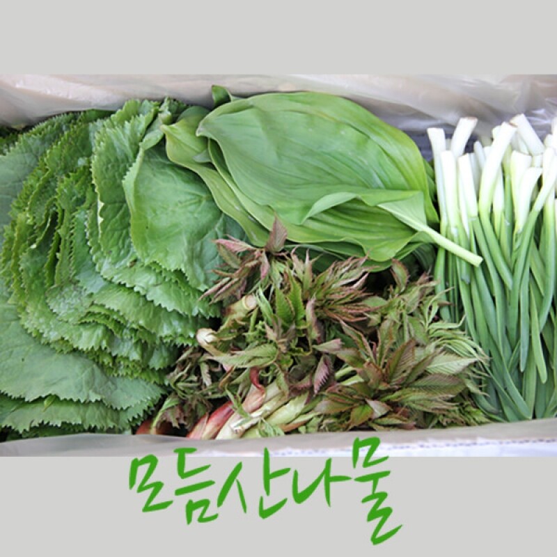 삼생마을 모듬산나물(1kg,2kg,4kg) 즉시배송