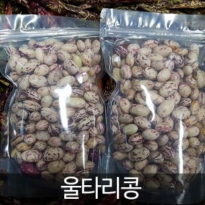 (G마켓·SSG.com) 삼생마을 울타리콩(호랑이콩 생냉동)